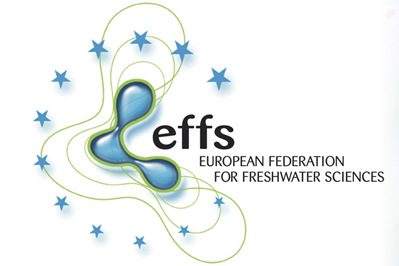 logo EFFS